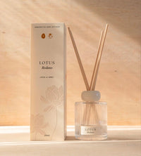 Studio Sol  - Diffusers - Language of Flowers