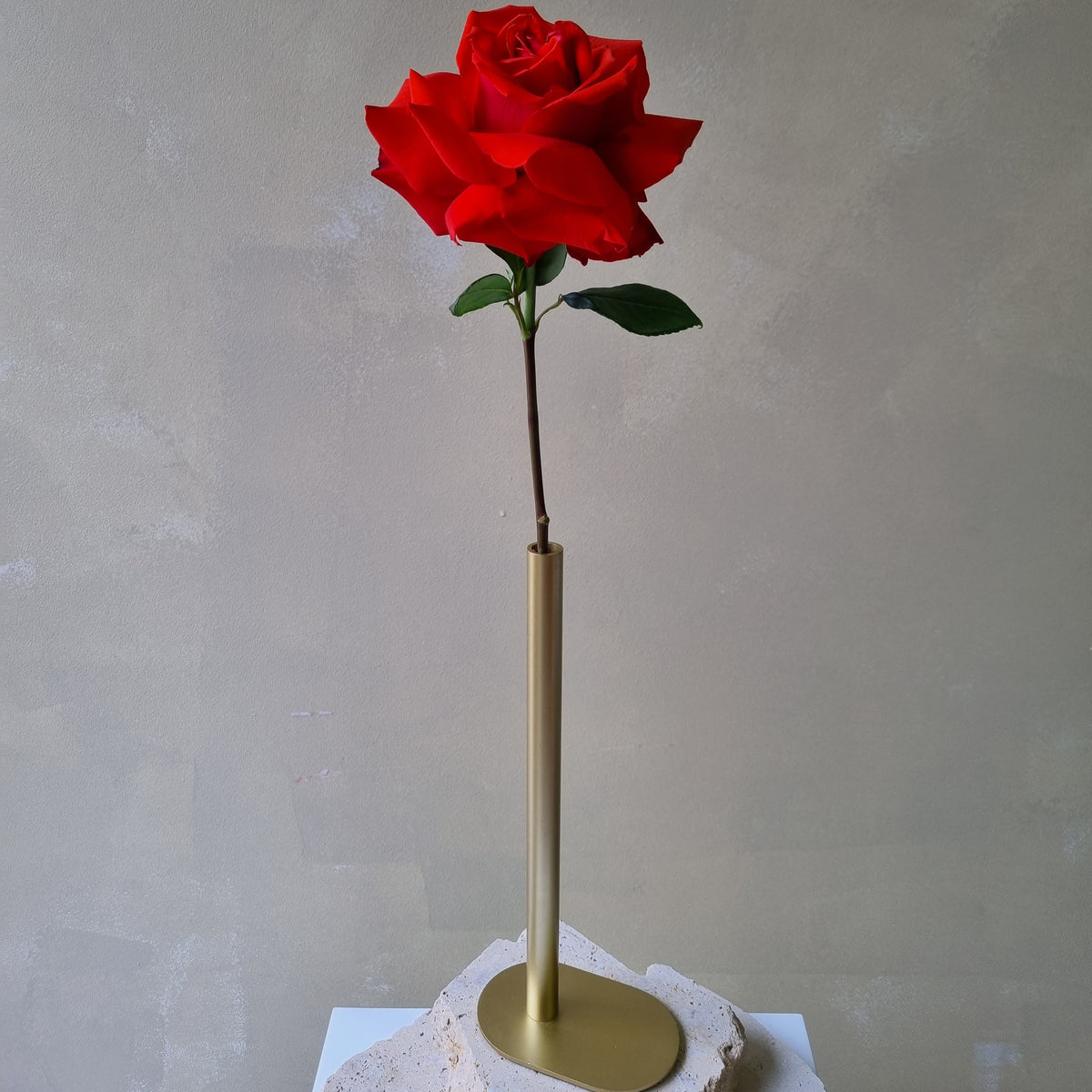 Single Stemmed Rose with Modern Vase