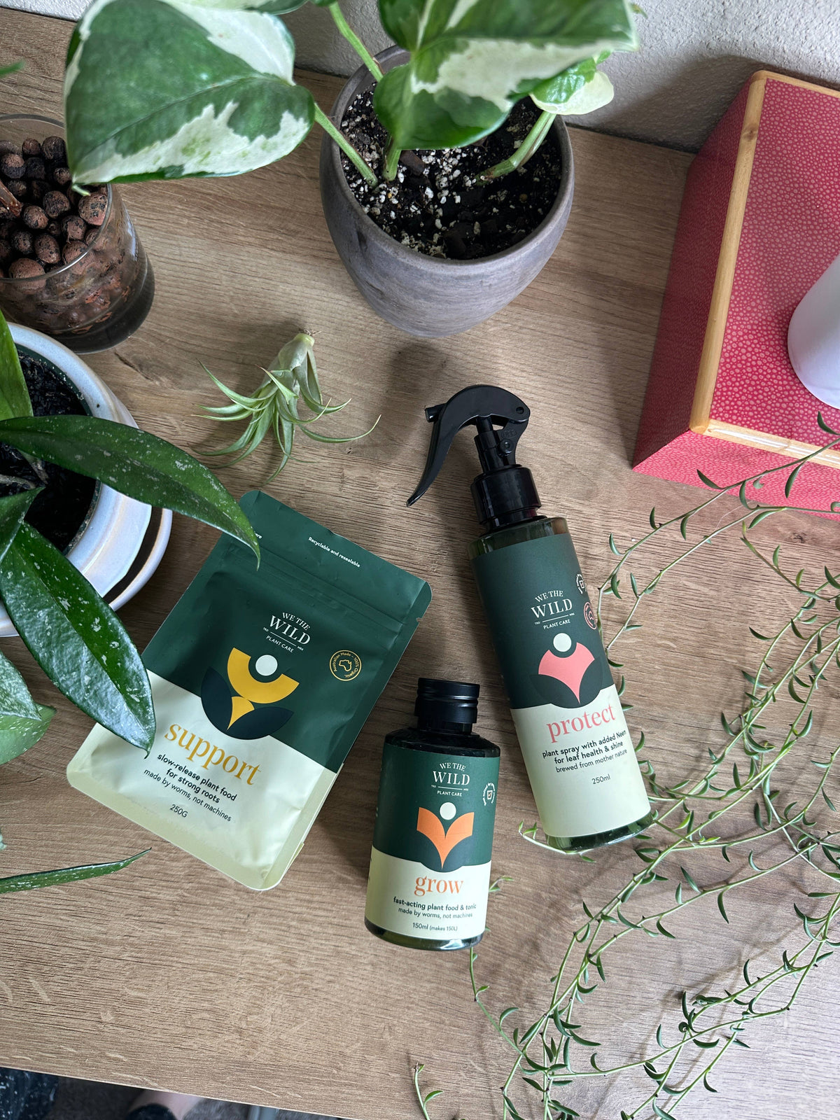 House Plant Care Essentials Kit