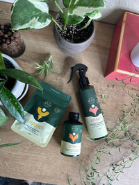 House Plant Care Essentials Kit