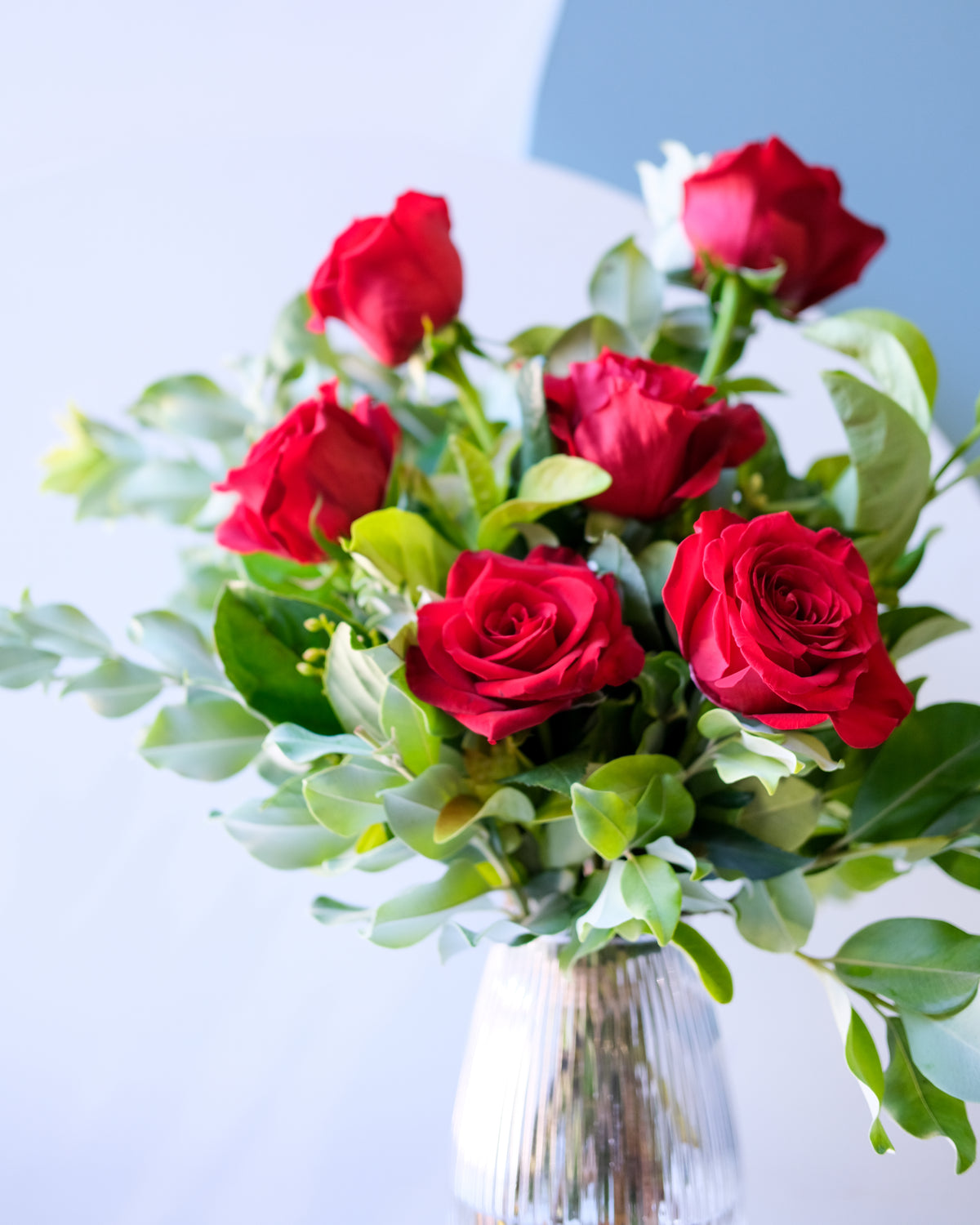 XOXO  - Half Dozen Red Roses Valentines Day