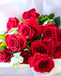 Bouquet of red roses with green leaves on a white background
