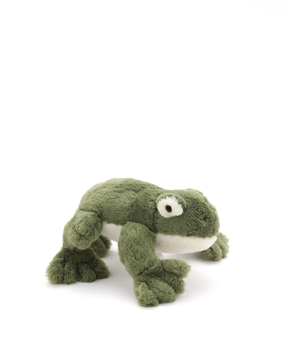 Finley the Frog- Nana Huchy