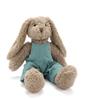 Soft toys and Rattles