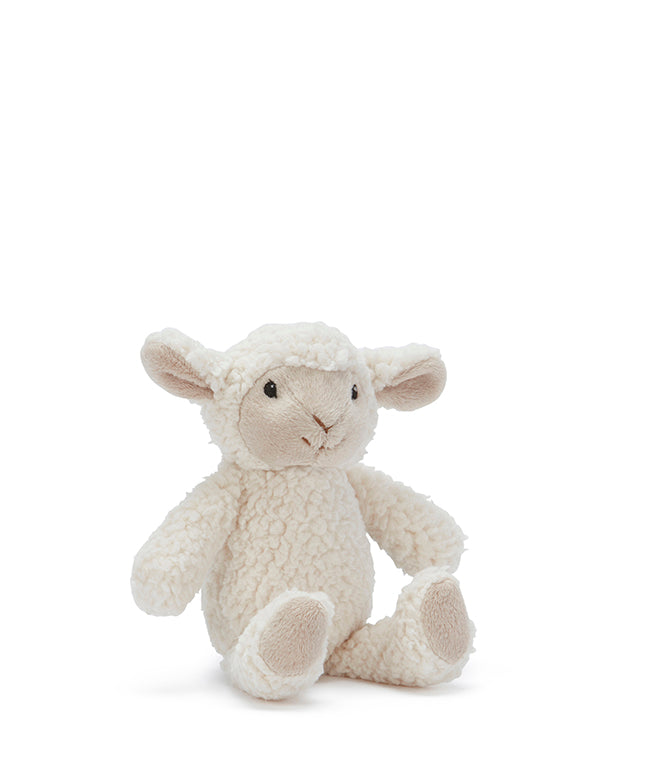 Soft toys and Rattles