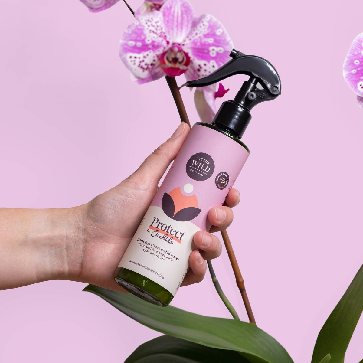 Orchid Protect Spray With Neem