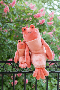 Craig the Crayfish - Nana Huchy