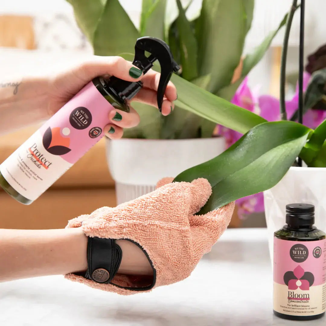 Orchid Protect Spray With Neem