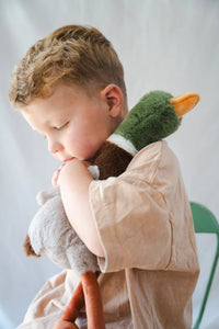 Hugo the Mallard Duck- Nana Huchy